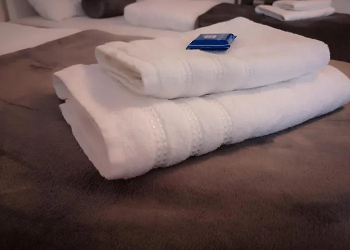 Alps 蓬高地区施瓦察赫