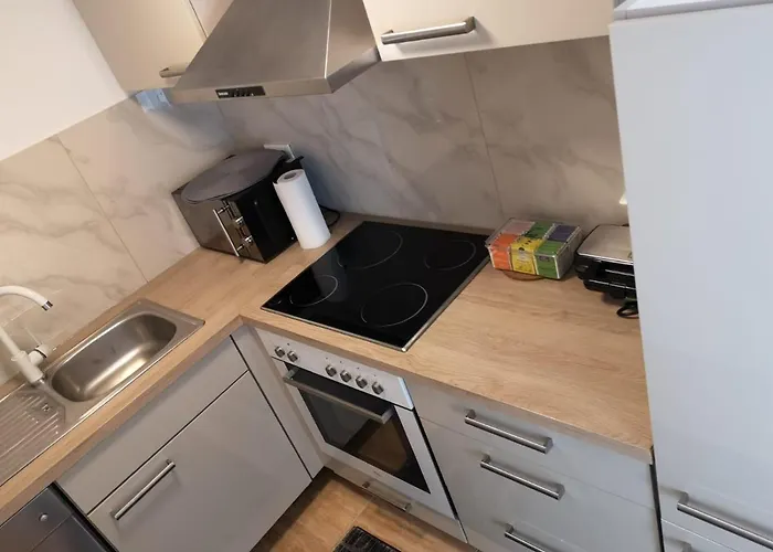 Alps 蓬高地区施瓦察赫